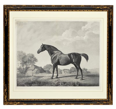 Sweetbrier (grawerowanie punktowe) autorstwa George Townley Stubbs