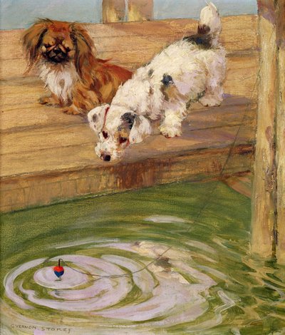 Peke i terier autorstwa George Vernon Stokes