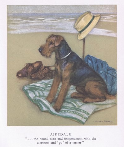 Airedale (druk kolorowy) autorstwa George Vernon Stokes