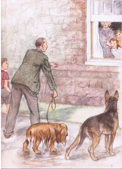 Spaniele ociekały błotem i szlamem, od Pets Limited opublikowanego przez Collins autorstwa George Vernon Stokes