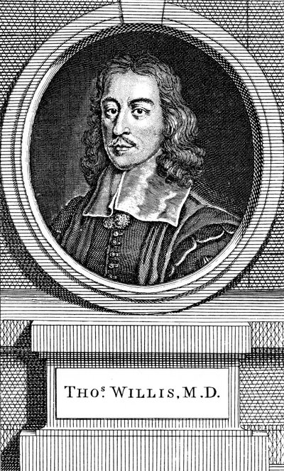 Thomas Willis, XVII-wieczny angielski lekarz, 1742 autorstwa George Vertue