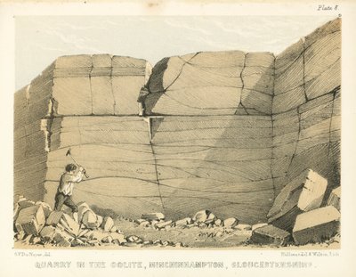 Kamieniołom w Oolite, Minchinhampton, Gloucestershire (kolorowy grawerunek) autorstwa George Victor Du Noyer