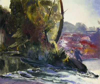 Rybak i Potok, 1920 autorstwa George Wesley Bellows