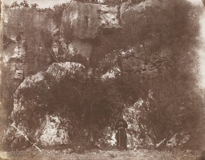 Ogród Selvia, Syrakuzy, Sycylia, 1846. autorstwa George Wilson Bridges