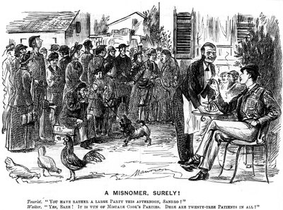Błędna nazwa, na pewno!, 1880. autorstwa George du Maurier