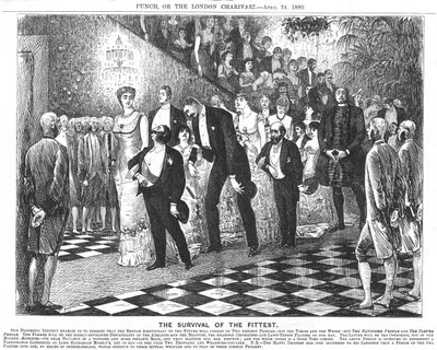 Zastosowanie darwinizmu w XX wieku. George du Maurier, 24 kwietnia 1880 (rysunek z Punch, Londyn) autorstwa George du Maurier