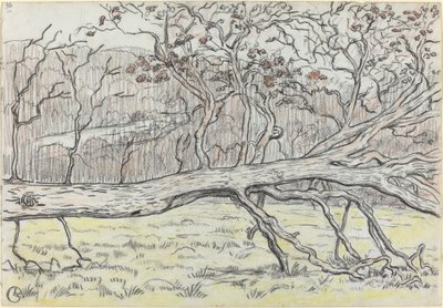 Ścięte drzewo, Normandia autorstwa Georges Lacombe