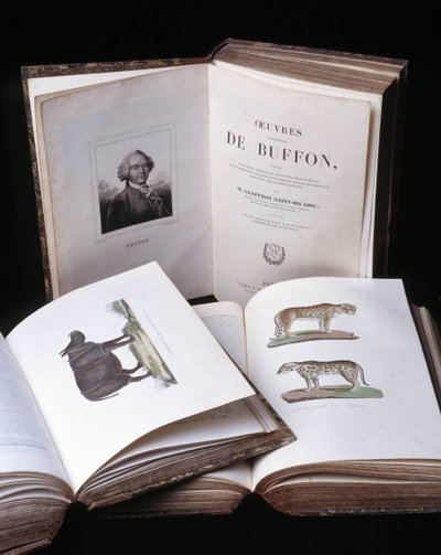 Martwa natura z „Pełnych dzieł Buffona” autorstwa przyrodnika Georgesa Louisa Leclerca, hrabiego Buffon (1707 - 1788). Rycina z 1837 roku. autorstwa Georges Louis Leclerc