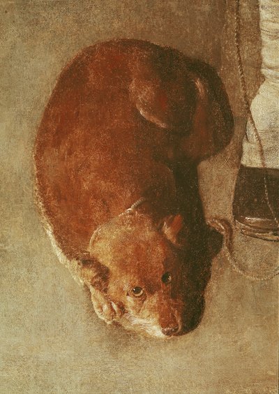 Gracz liry korbowej ze swoim psem, ok. 1620 (szczegóły) (patrz także 67918) autorstwa Georges de La Tour