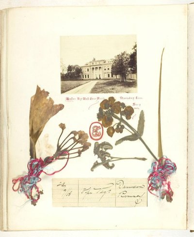 Bez tytułu [widok Broadlands z suszonymi kwiatami], 1868. autorstwa Georgina Cowper