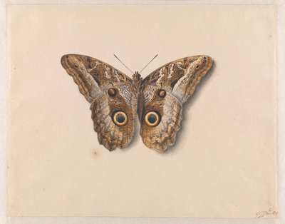  autorstwa Georgius Jacobus Johannes van Os