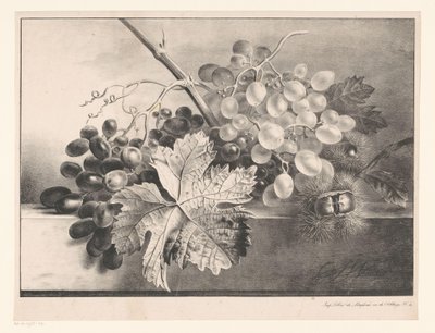 Martwa natura z winogronami i kasztanami autorstwa Georgius Jacobus Johannes van Os