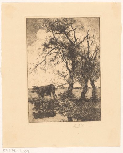 Krowa na nabrzeżu autorstwa Gerard Altmann (signed by artist)