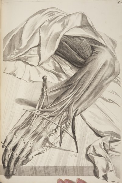 Anatomia ciała ludzkiego autorstwa Govarda Bidloo, 1685 autorstwa Gerard de Lairesse