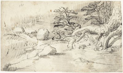 Badanie korzeni drzewa w pobliżu strumienia autorstwa Gerard ter Borch (I)
