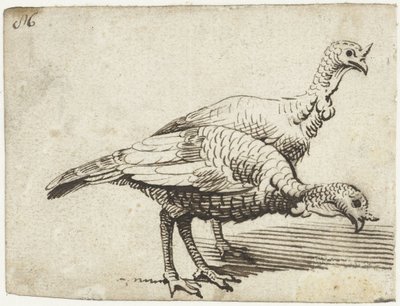 Dwa indyki autorstwa Gerard ter Borch (I)