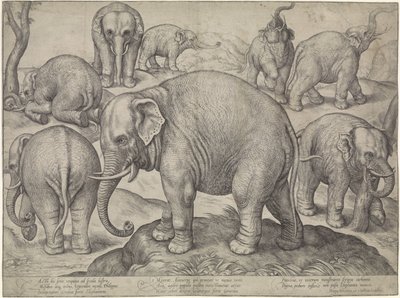 Osiem słoni autorstwa Gerard van Groeningen