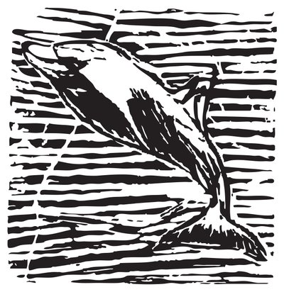 Delfin autorstwa Gerhardt Isringhaus