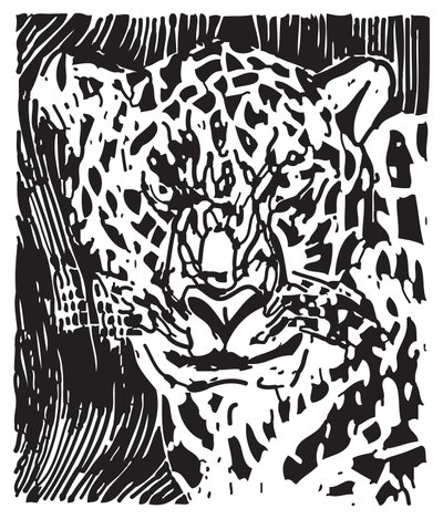 Leopard autorstwa Gerhardt Isringhaus