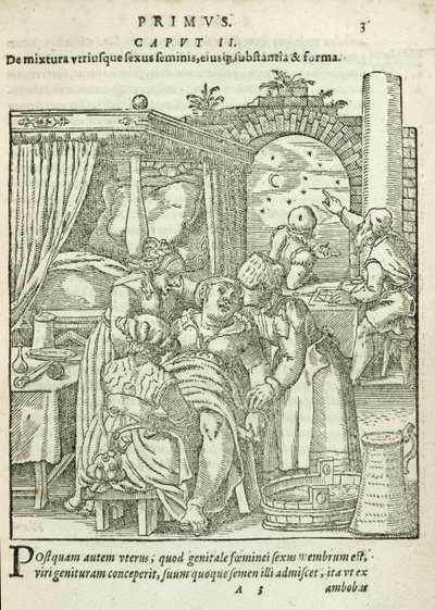 Kobieta w pracy, ilustracja z rozdziału 2, księga 1 O poczęciu i rozwoju człowieka Rueffa, 1587 autorstwa German School