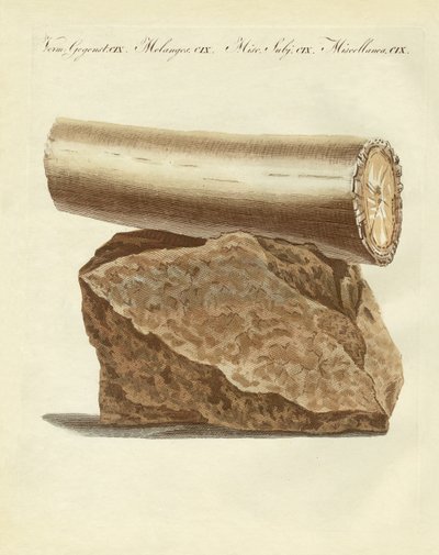 Fragment wydobytej broni z kłów słonia (kolorowy grawerunek) autorstwa German School
