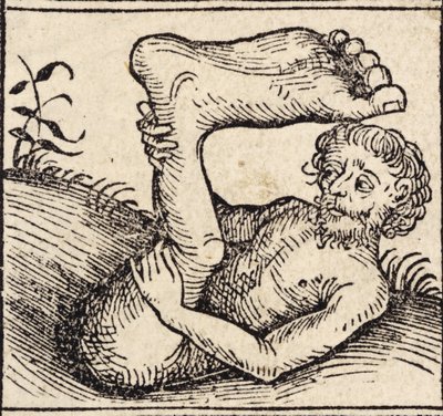 Sciopod, Człowiek z opuchniętą stopą, z „Registrum Hujus Operis Libri Cronicarum cum Figuri et Imagibus ab Inicio Mundi”, autorstwa Hartmanna Schedla (1440-1515) opublikowanego w Norymberdze autorstwa German School