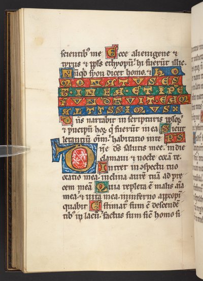 Dodać. 60629, f.90v Inicjał i tekst (welin) autorstwa German School