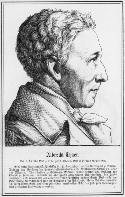 Albrecht Thaer (grafika) autorstwa German School