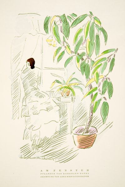 Am Fenster, rośliny Hermann Rothe, z Styl, wyd. 1922 (odbitka w pochoirze) autorstwa German School