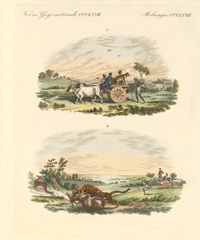 Polowanie na antylopy z lampartami (kolorowy grawerunek) autorstwa German School