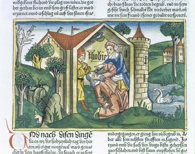 Apocrypha: Tobit oślepiony odchodami wróbli, z Biblii Norymberskiej (Biblia Sacra Germanaica) (kolorowy drzeworyt) autorstwa German School