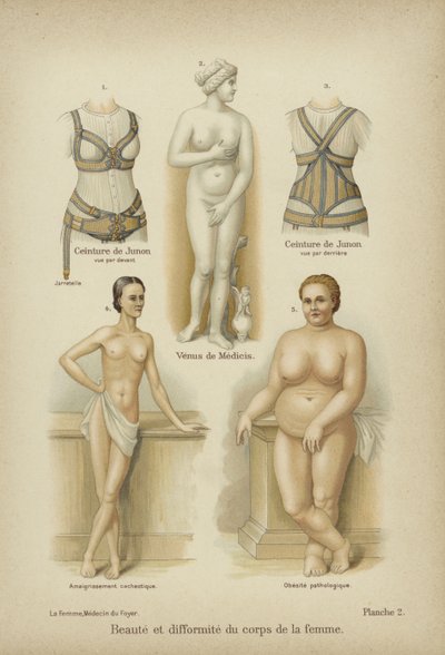 Piękno i zniekształcenia w kobiecym ciele autorstwa German School