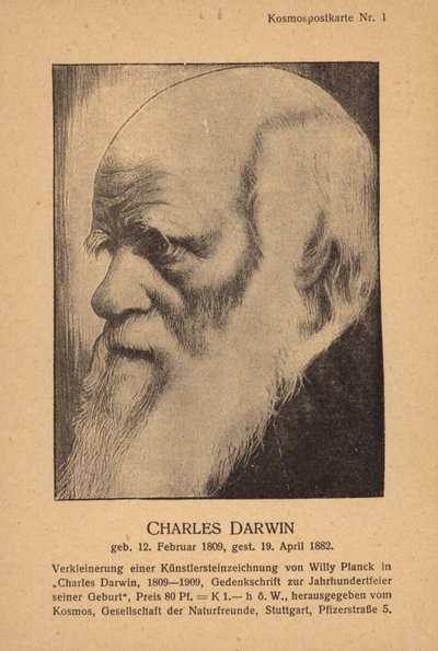 Karol Darwin (1809-1882), angielski przyrodnik (litografia) autorstwa German School