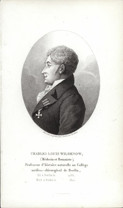 Charles Louis Wildenow autorstwa German School
