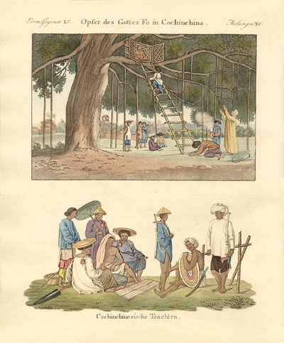 Cochin Chinese wykorzystuje i sukienki (kolorowe grawerowanie) autorstwa German School