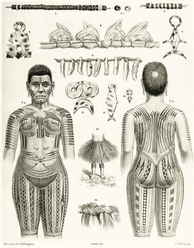 Diagram przedstawiający polinezyjską biżuterię, ozdoby i wzory tatuaży, 1888 r autorstwa German School