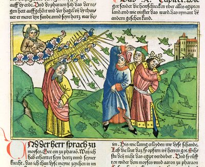 Wyjścia 10:1-20 Siedem plag egipskich: plaga szarańczy, z Biblii Norymberskiej (Biblia Sacra Germanaica) (kolorowy drzeworyt) autorstwa German School