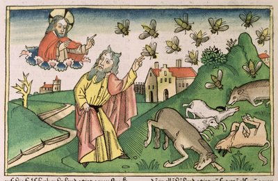 Wyjścia 8 20-32 Siedem plag egipskich: Mojżesz i rój much, z „Biblii Norymberskiej (Biblia Sacra Germanaica)” (drzeworyt kolorowy) autorstwa German School