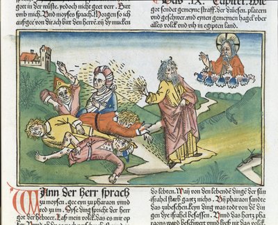 Wyjścia 9 8-12 Siedem plag egipskich: Mojżesz i plaga czyraków, z Biblii Norymberskiej (Biblia Sacra Germanaica) (kolorowy drzeworyt) autorstwa German School