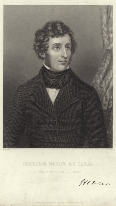 Friedrich Woehler autorstwa German School