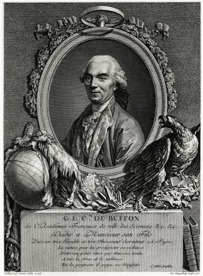 George Louis Leclerc hrabia Buffon autorstwa German School