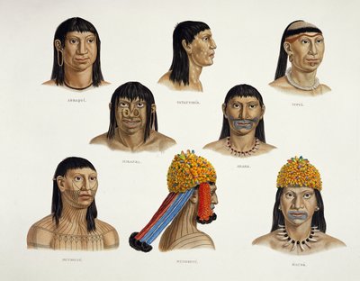 Głowy Indian południowoamerykańskich, z Travels in Brazil (szczegóły patrz 92095) autorstwa German School