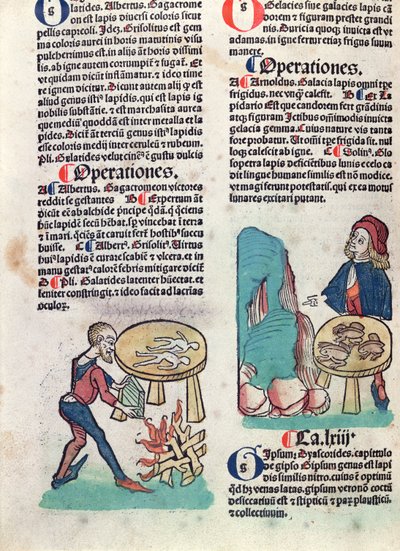 Ilustrowana strona z Hortus Sanitatis, 1491 (kolorowy drzeworyt) autorstwa German School