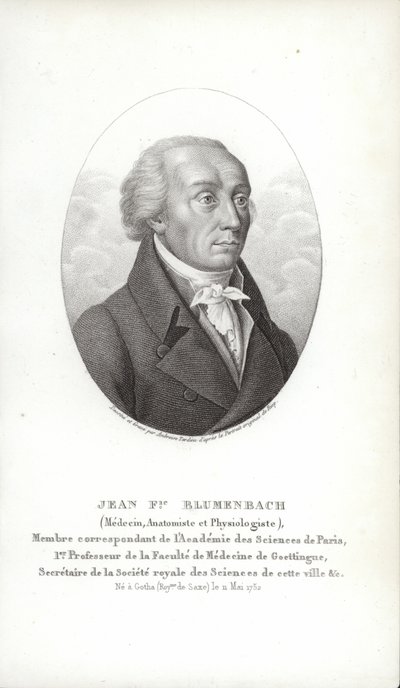 Johann Friedrich Blumenbach autorstwa German School