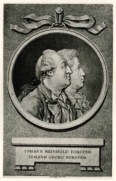 Johann Georg Forster autorstwa German School