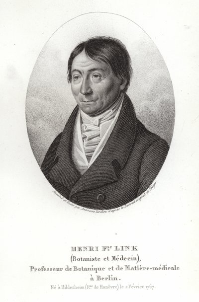 Johann Heinrich Friedrich Link autorstwa German School