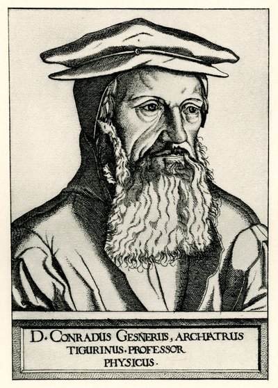 Konrad Gesner autorstwa German School