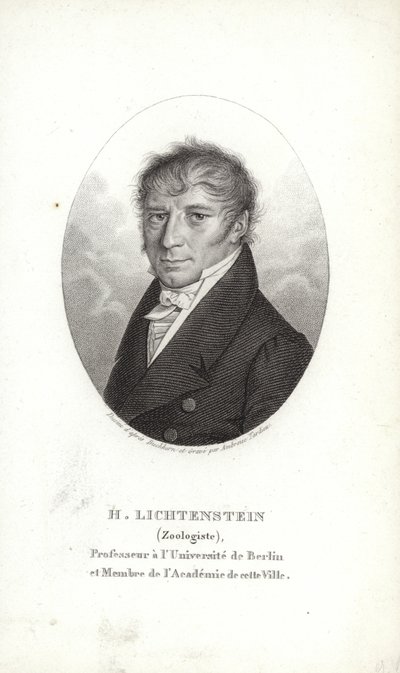 Martin Lichtenstein autorstwa German School