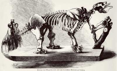 Szkielet Megatherium w British Museum autorstwa German School