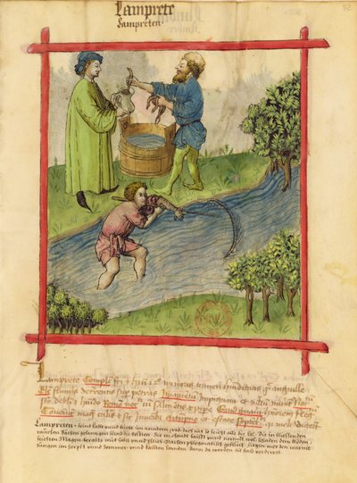 Pani Lat 9333 f.82 Połów węgorza z Tacuinum Sanitatis autorstwa German School
